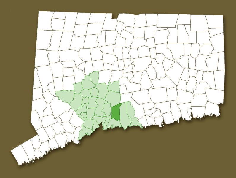 Map of CT with New Haven County and North Branford highlighted