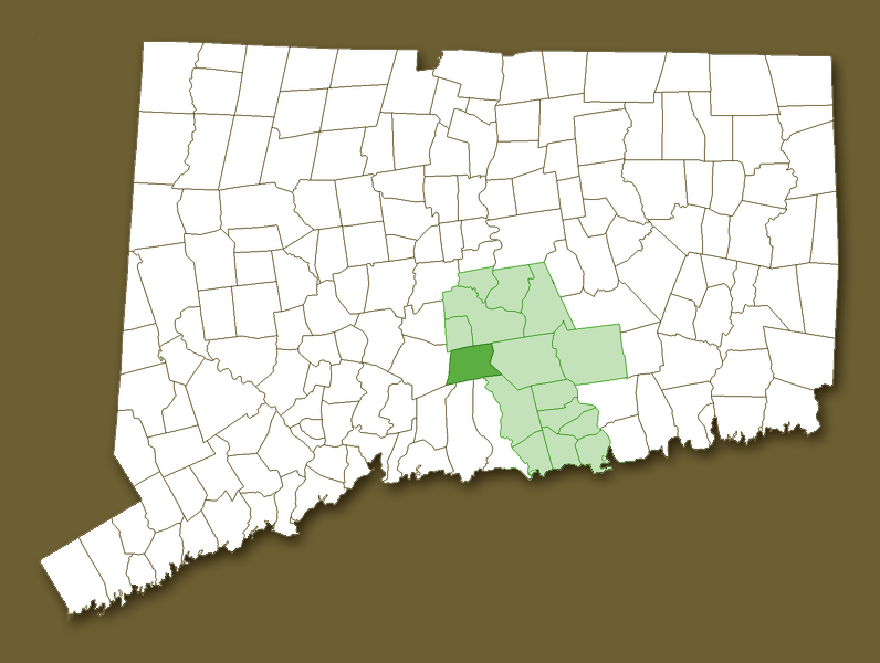 Map of CT with Middlesex County and Durham highlighted