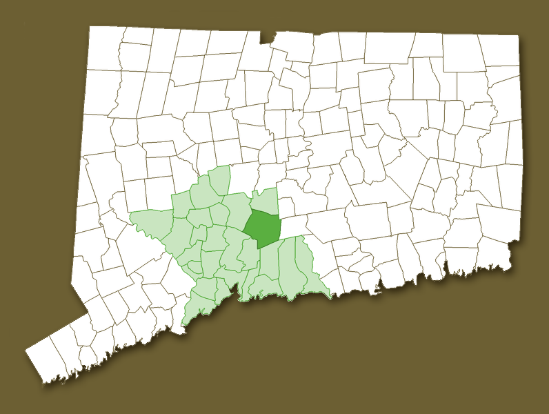 Map of CT with New Haven County and Wallingford highlighted